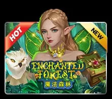 enchantedforestgw slotxo